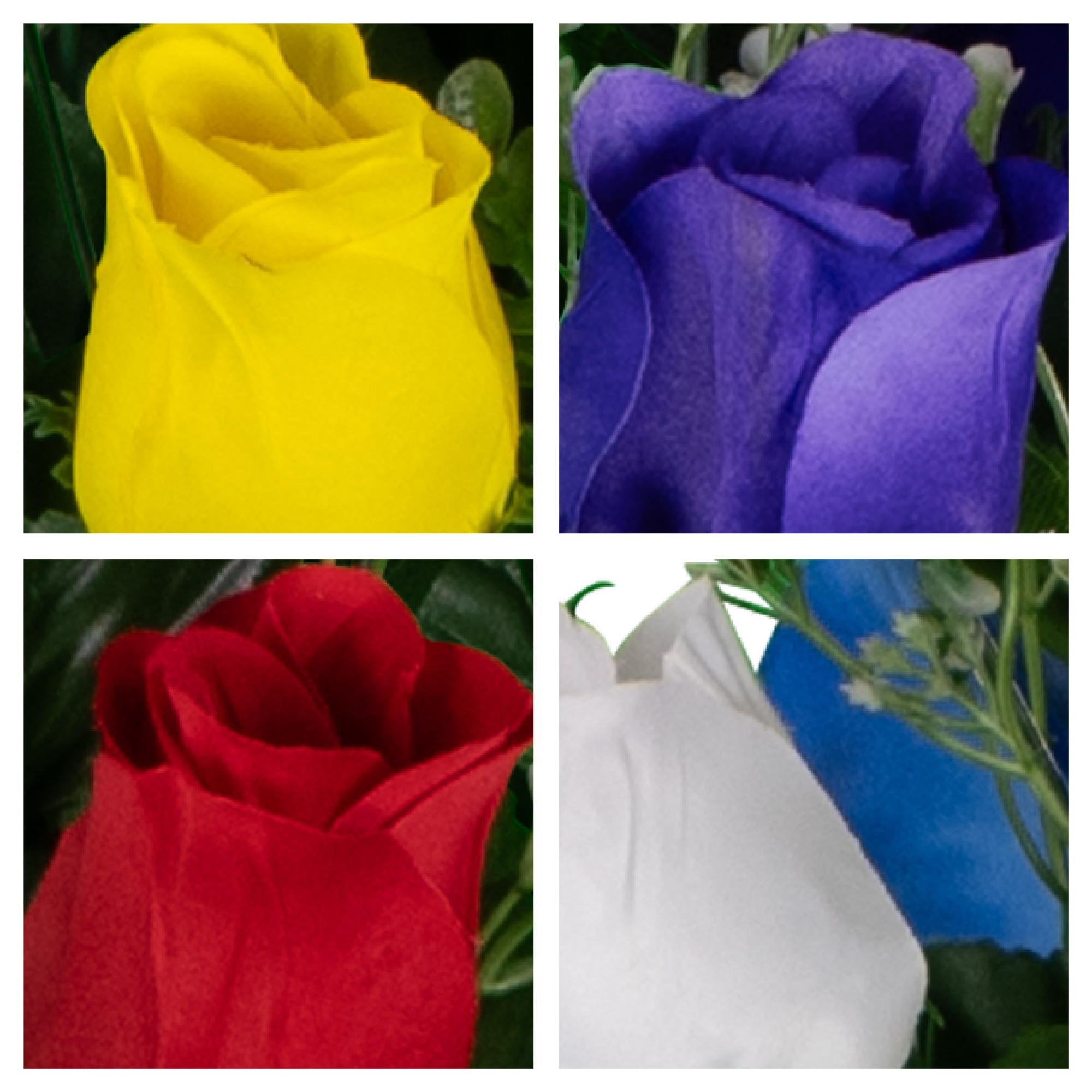 Multi Color Roses Saddle and Two Large Bouquet With Vase - View 3