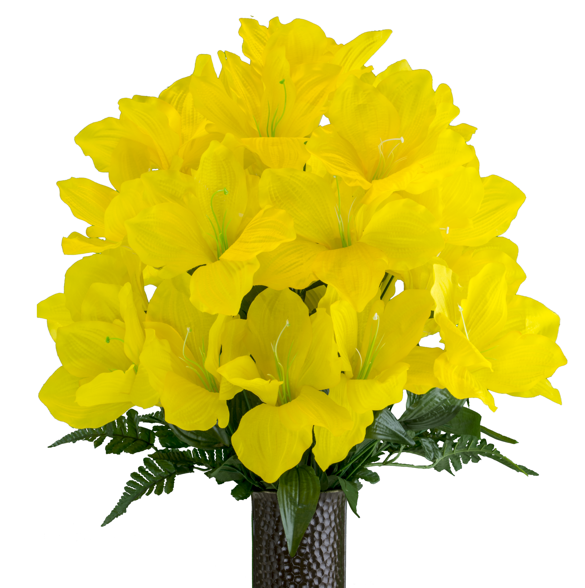 Yellow Amaryllis - View 1