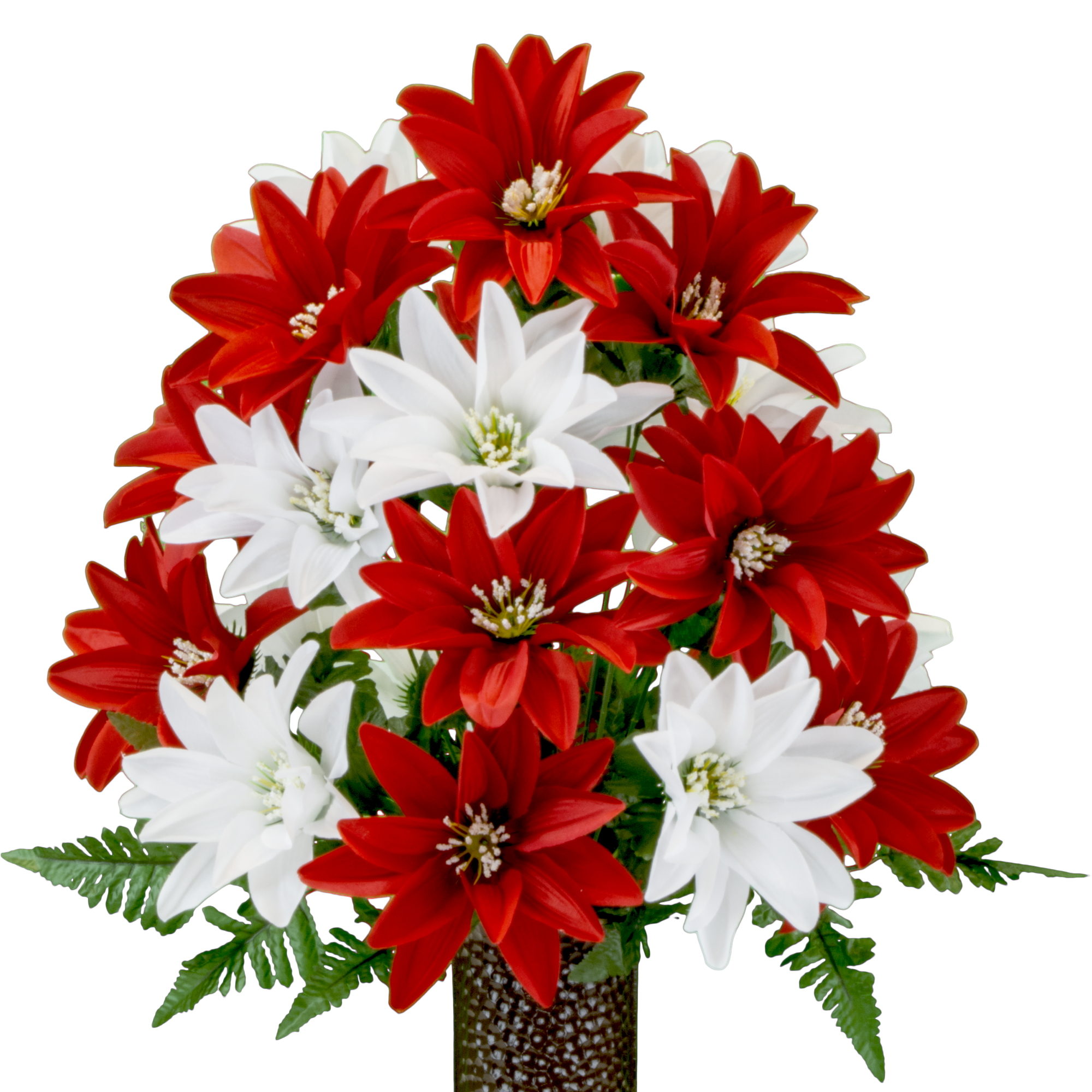 Red and White Dahlias - View 1