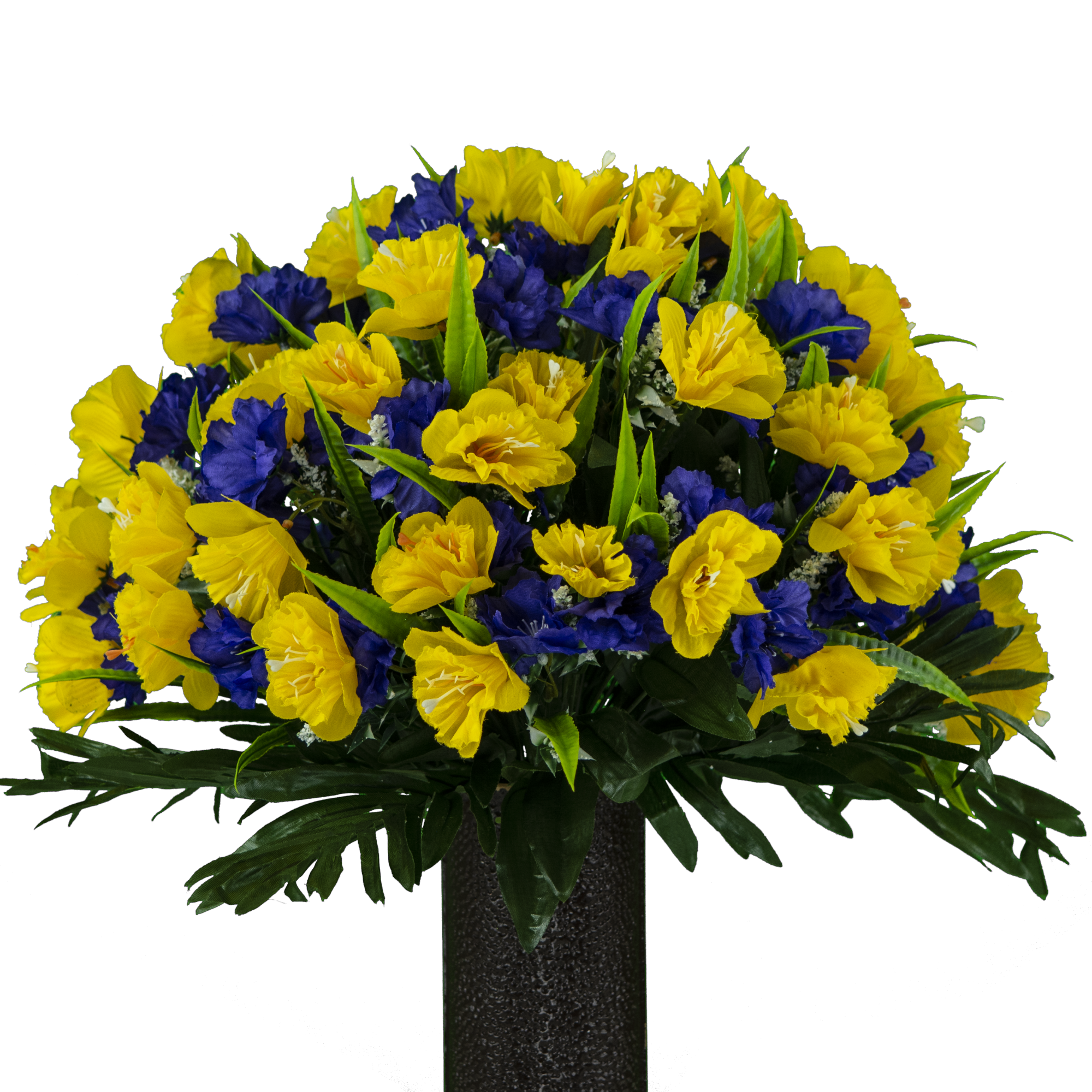 Yellow and Purple Daffodil - View 1